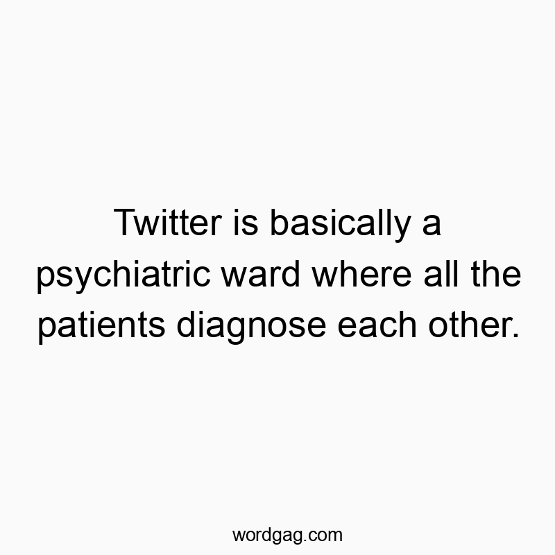 Twitter is basically a psychiatric ward where all the patients diagnose each other.