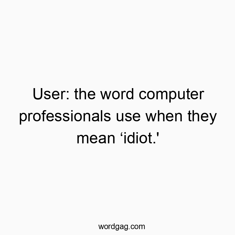 User: the word computer professionals use when they mean ‘idiot.’