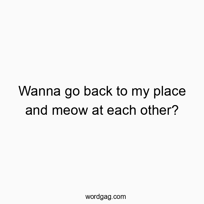 Wanna go back to my place and meow at each other?