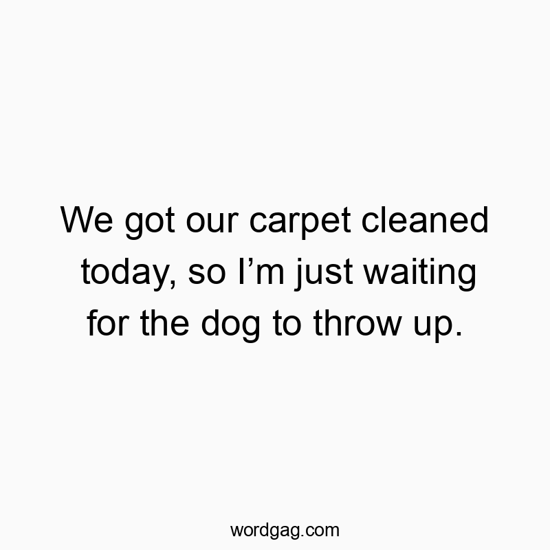 We got our carpet cleaned today, so Iโm just waiting for the dog to throw up.