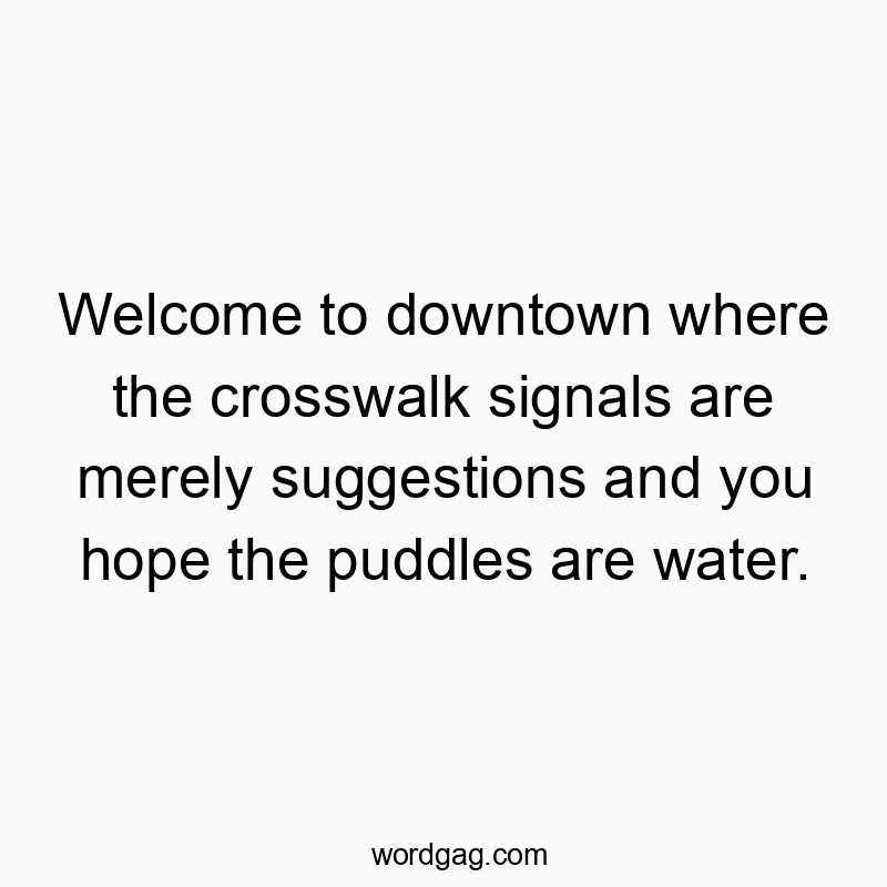 Funny suggestions quotes - Welcome to downtown where the crosswalk signals are merely suggestions and you hope the puddles are water.