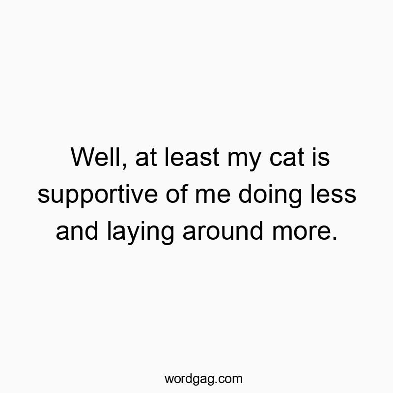 Well, at least my cat is supportive of me doing less and laying around more.
