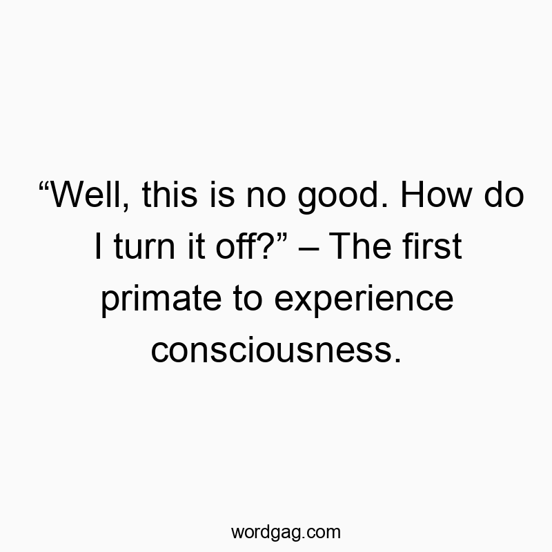 “Well, this is no good. How do I turn it off?” – The first primate to experience consciousness.