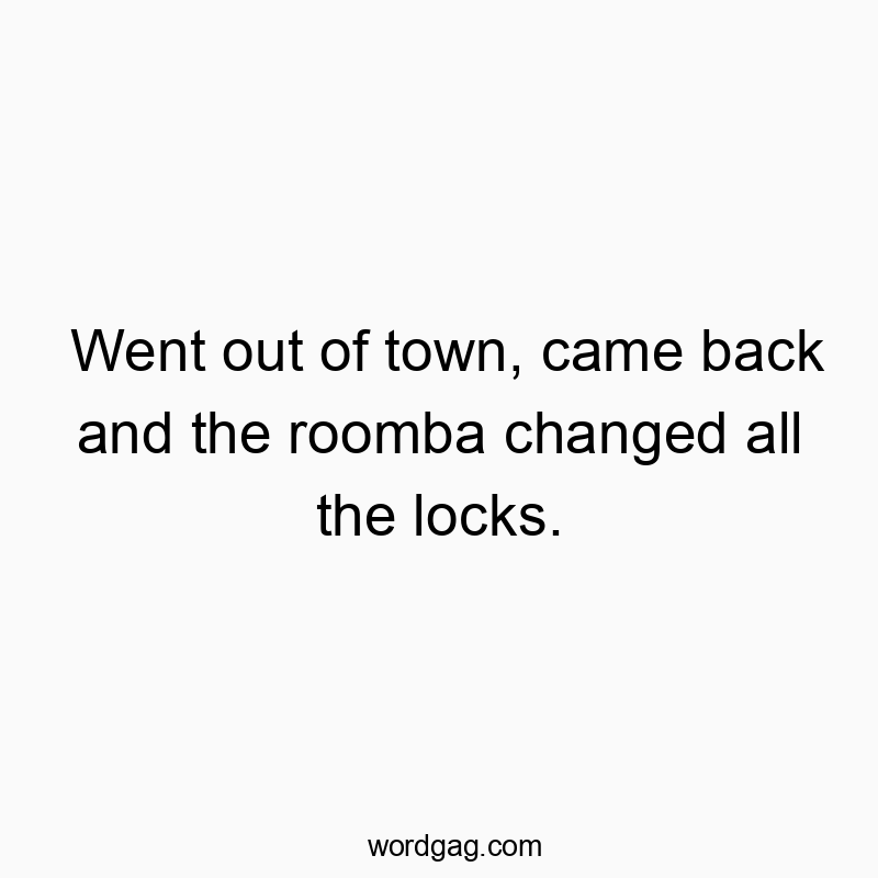 Went out of town, came back and the roomba changed all the locks.