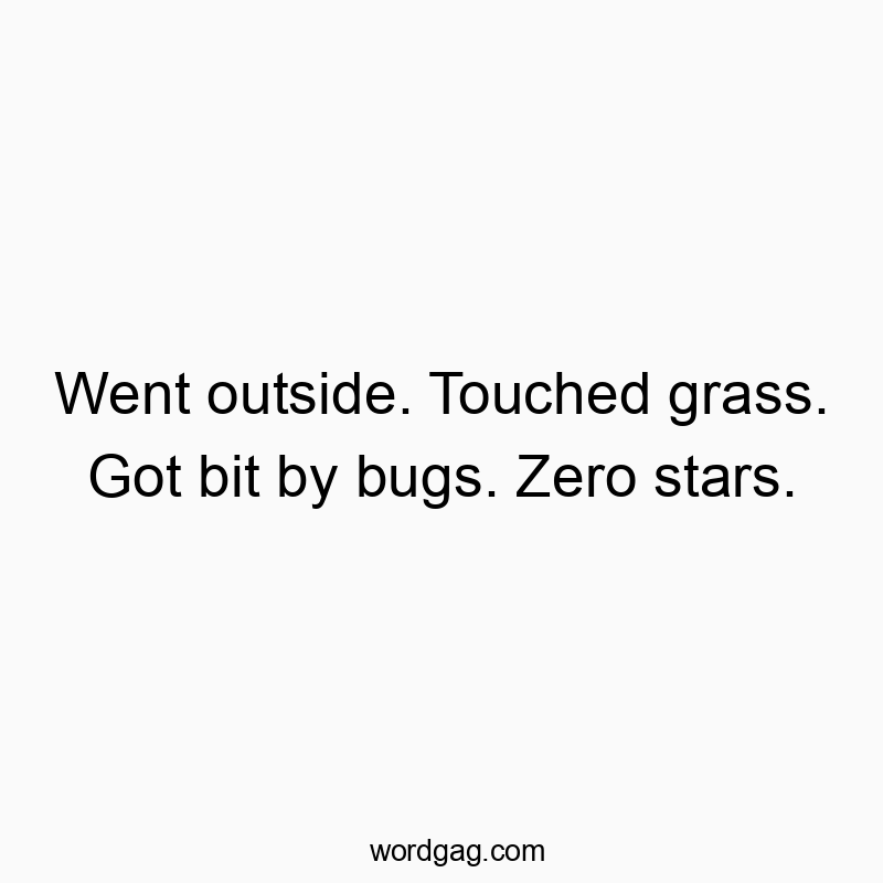 Went outside. Touched grass. Got bit by bugs. Zero stars.