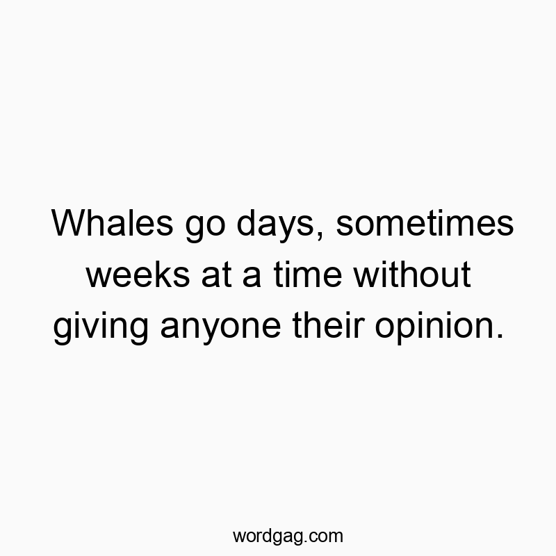 Whales go days, sometimes weeks at a time without giving anyone their opinion.
