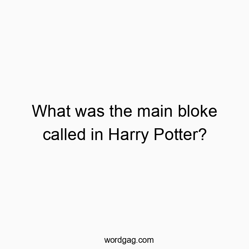 What was the main bloke called in Harry Potter?