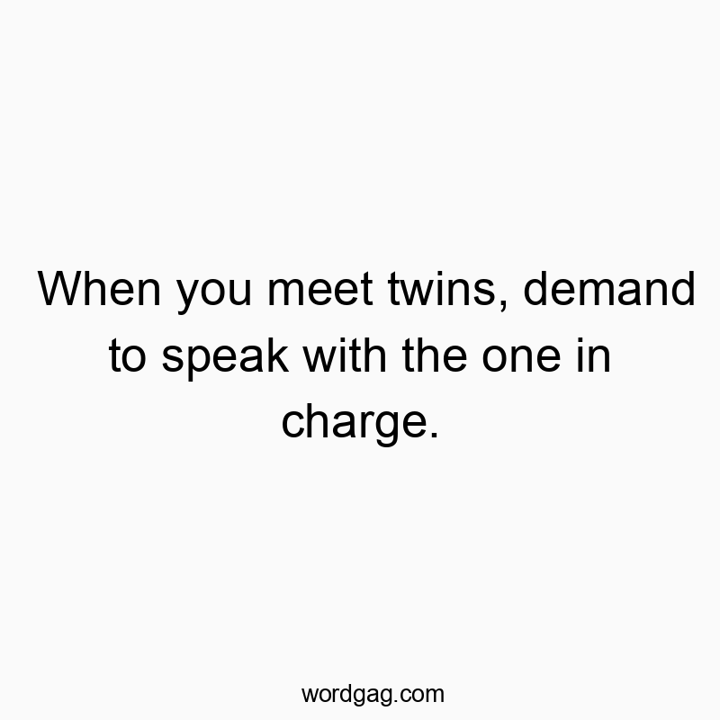 298 Funny conversation quotes - When you meet twins, demand to speak with the one in charge.