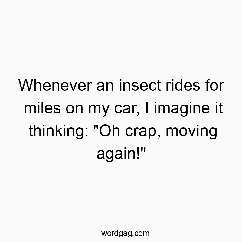 Whenever an insect rides for miles on my car, I imagine it thinking: “Oh crap, moving again!”
