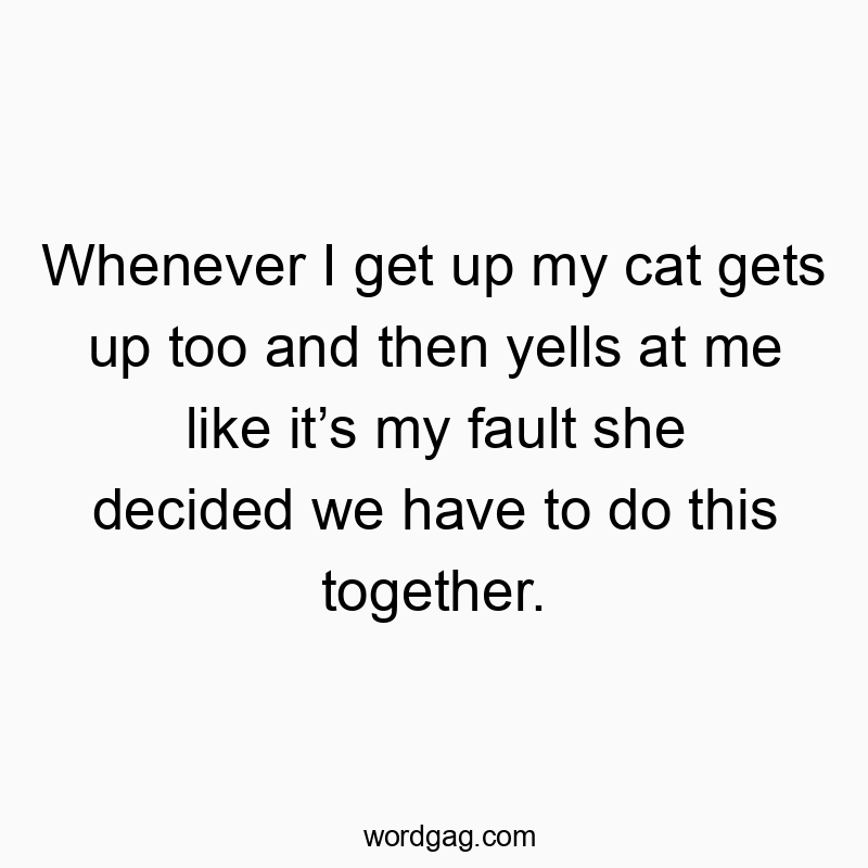 Funny cat behavior quotes - Whenever I get up my cat gets up too and then yells at me like it’s my fault she decided we have to do this together.