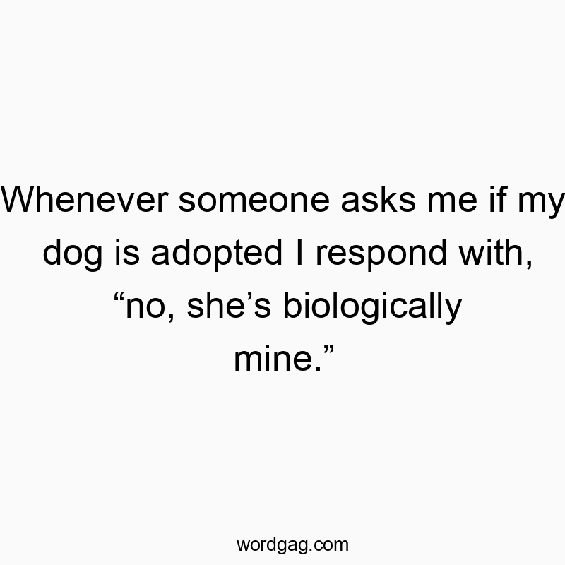 Whenever someone asks me if my dog is adopted I respond with, โno, sheโs biologically mine.โ