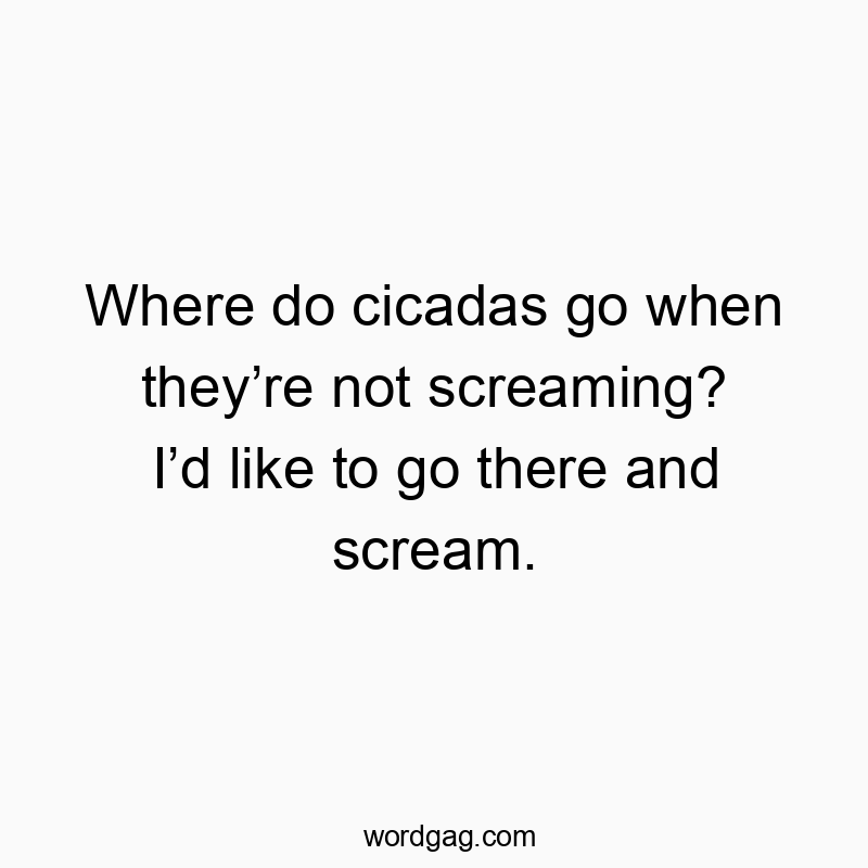 Where do cicadas go when they’re not screaming? I’d like to go there and scream.