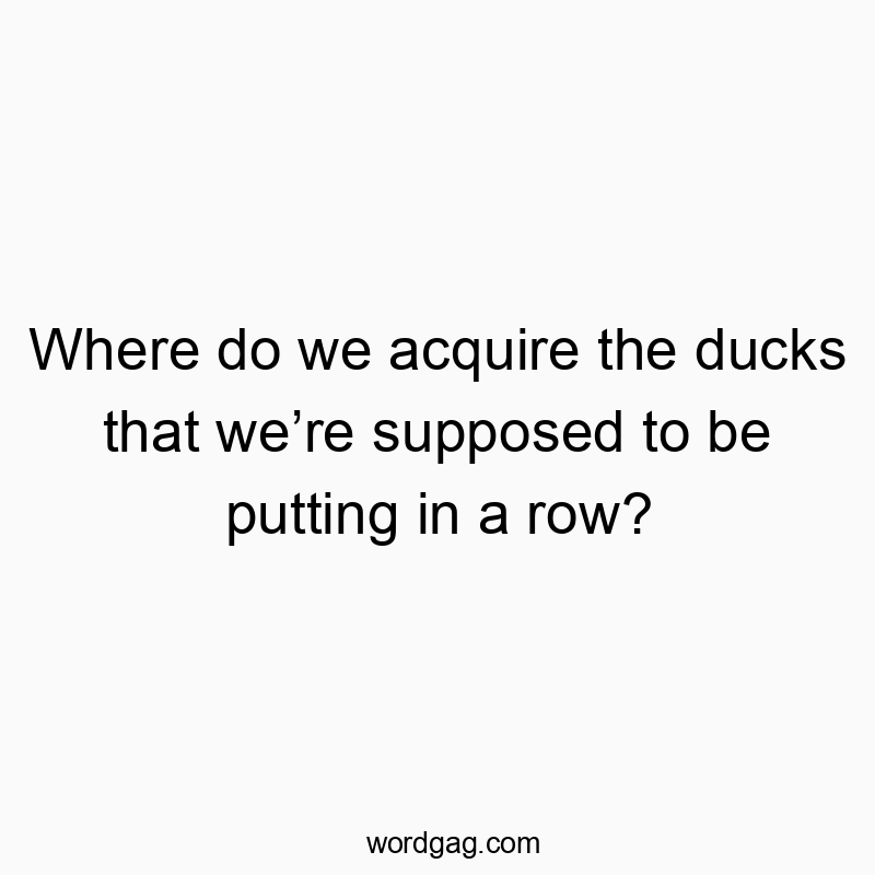 Where do we acquire the ducks that we’re supposed to be put…