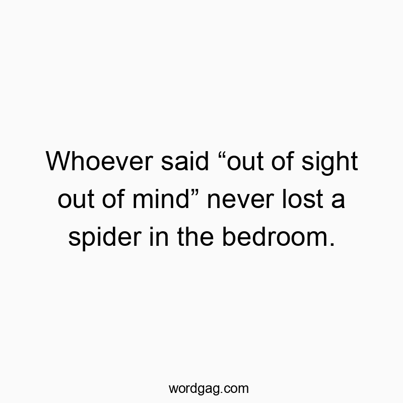 Whoever said “out of sight out of mind” never lost a spider in the bedroom.