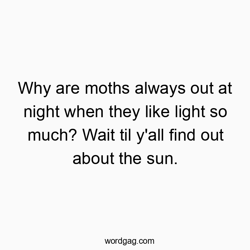 Why are moths always out at night when they like light so much? Wait til y’all find out about the sun.