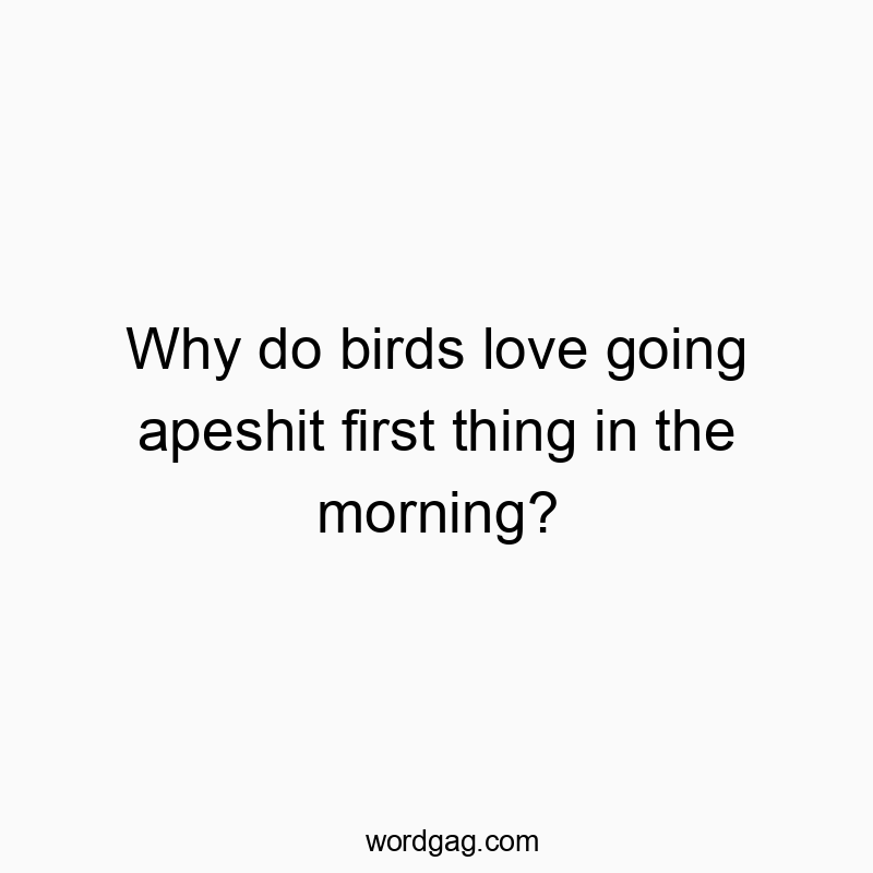 Why do birds love going apeshit first thing in the morning?