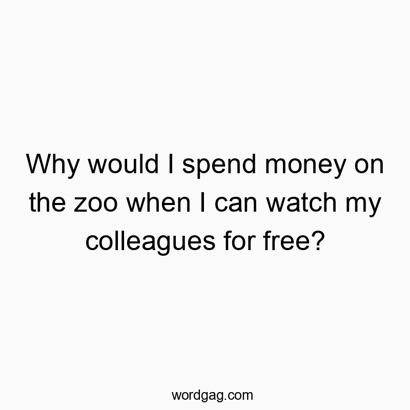 Why would I spend money on the zoo when I can watch my colleagues for free?