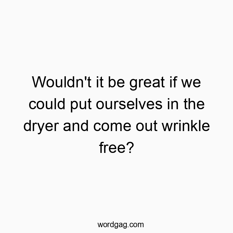 Funny great idea quotes - Wouldn’t it be great if we could put ourselves in the dryer and come out wrinkle free?
