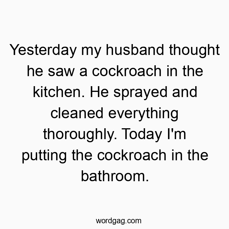 Yesterday my husband thought he saw a cockroach in the kitchen. He sprayed and cleaned everything thoroughly. Today I’m putting the cockroach in the bathroom.