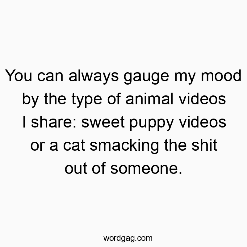 You can always gauge my mood by the type of animal videos I share: sweet puppy videos or a cat smacking the shit out of someone.