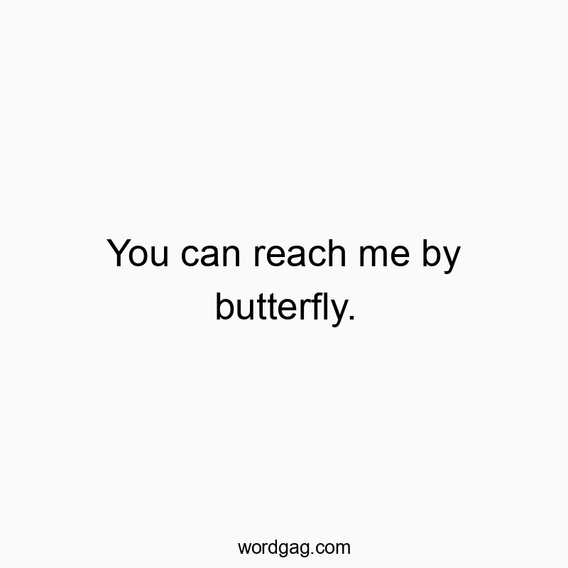 You can reach me by butterfly.