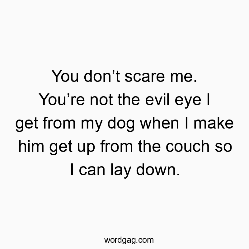 Playful quote about a dog's unimpressed glare and human laziness, humorously highlighting pet antics.