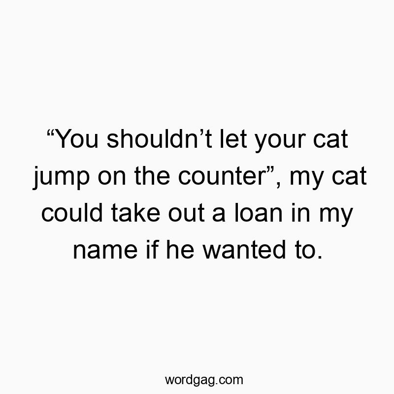 “You shouldn’t let your cat jump on the counter”, my cat could take out a loan in my name if he wanted to.