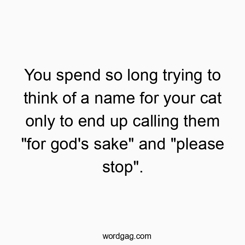 You spend so long trying to think of a name for your cat only to end up calling them “for god’s sake” and “please stop”.