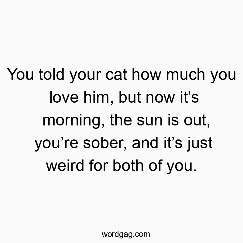 You told your cat how much you love him, but now it’s morning, the sun is out, you’re sober, and it’s just weird for both of you.