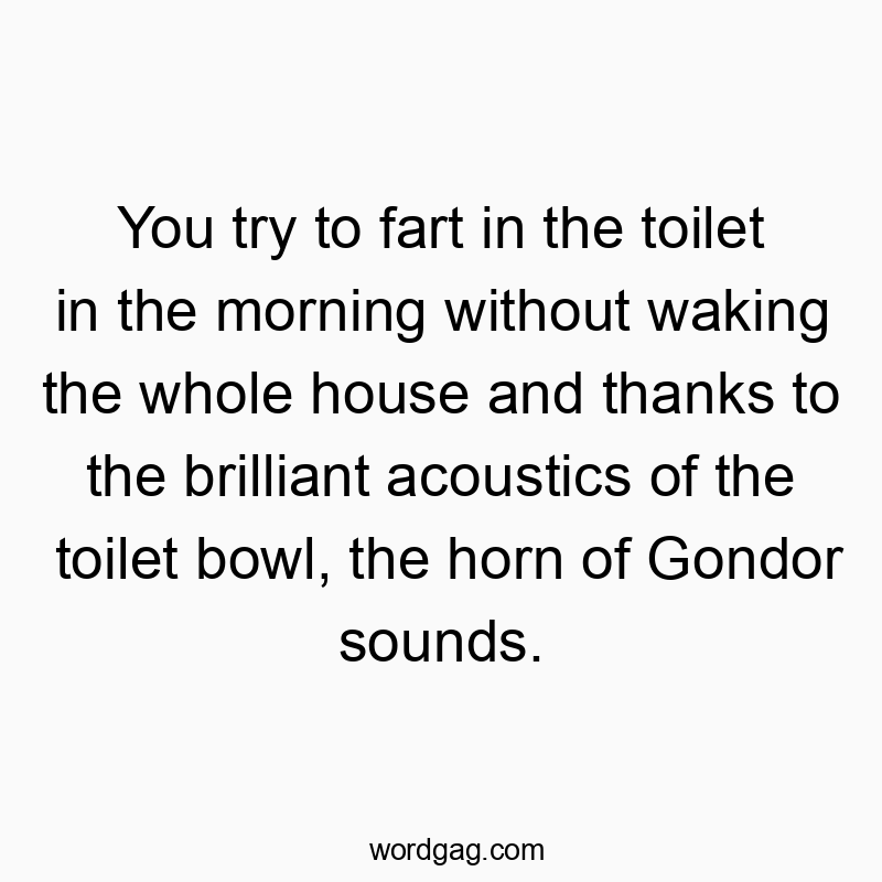 55 Funny noise quotes - You try to fart in the toilet in the morning without waking…