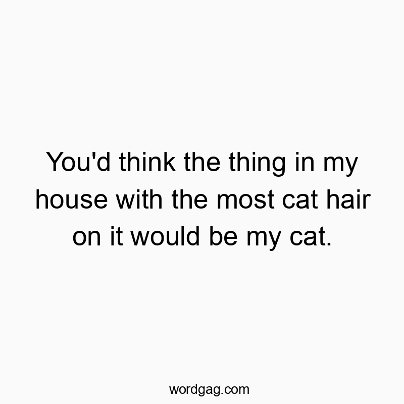 You’d think the thing in my house with the most cat hair on it would be my cat.