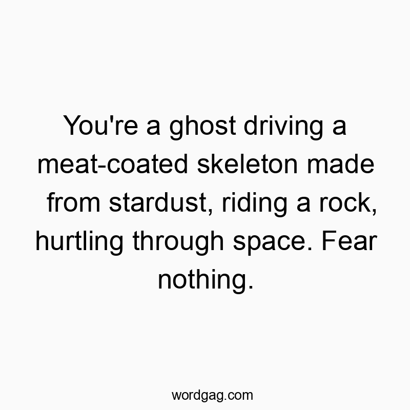 You’re a ghost driving a meat-coated skeleton made from stardust, riding a rock, hurtling through space. Fear nothing.