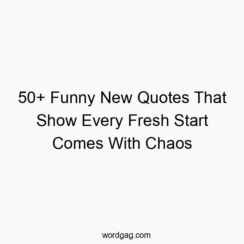 50+ Funny New Quotes That Show Every Fresh Start Comes With Chaos
