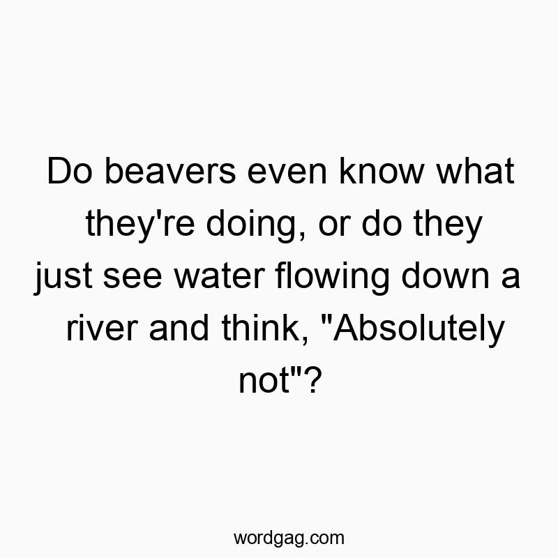 Do beavers even know what they’re doing, or do they just see water flowing down a river and think, “Absolutely not”?