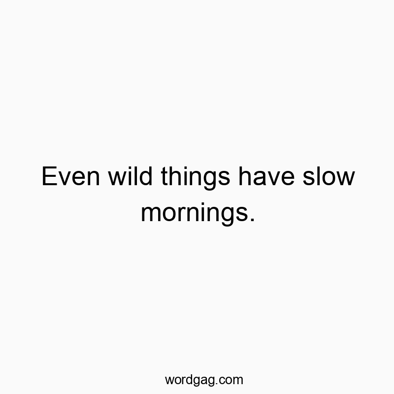 Even wild things have slow mornings.