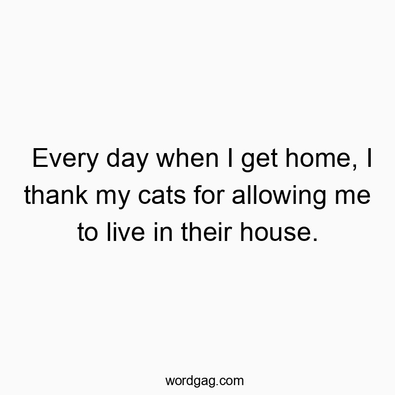 Every day when I get home, I thank my cats for allowing me to live in their house.