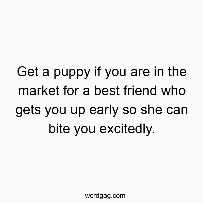 Get a puppy if you are in the market for a best friend who gets you up early so she can bite you excitedly.