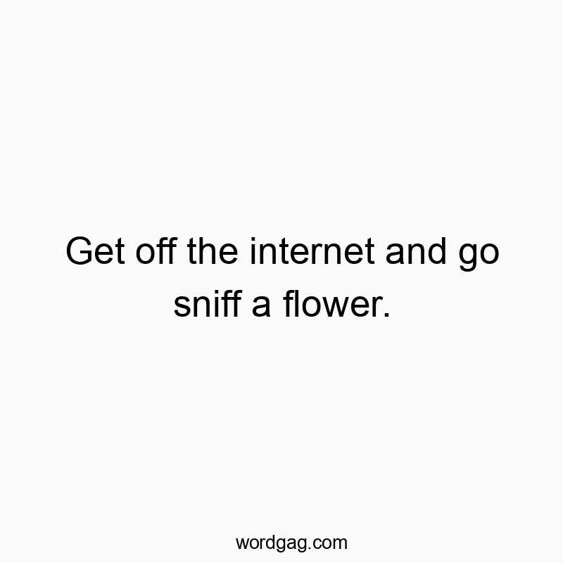 Get off the internet and go sniff a flower.