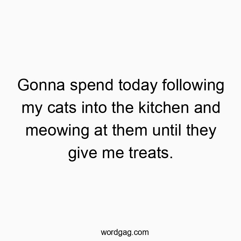 Funny spend quotes - Gonna spend today following my cats into the kitchen and meowing at them until they give me treats.
