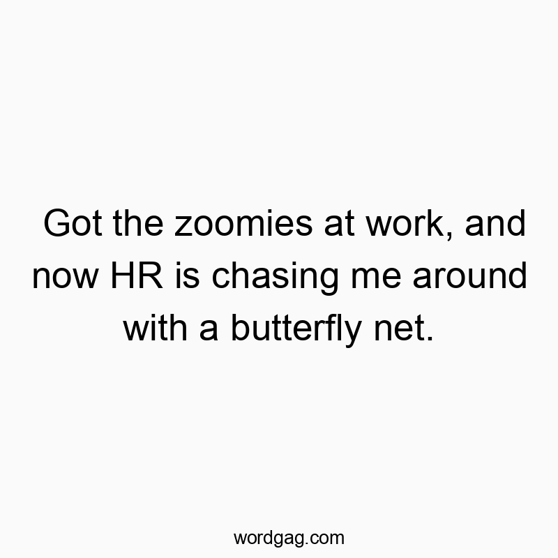 Got the zoomies at work, and now HR is chasing me around with a butterfly net.