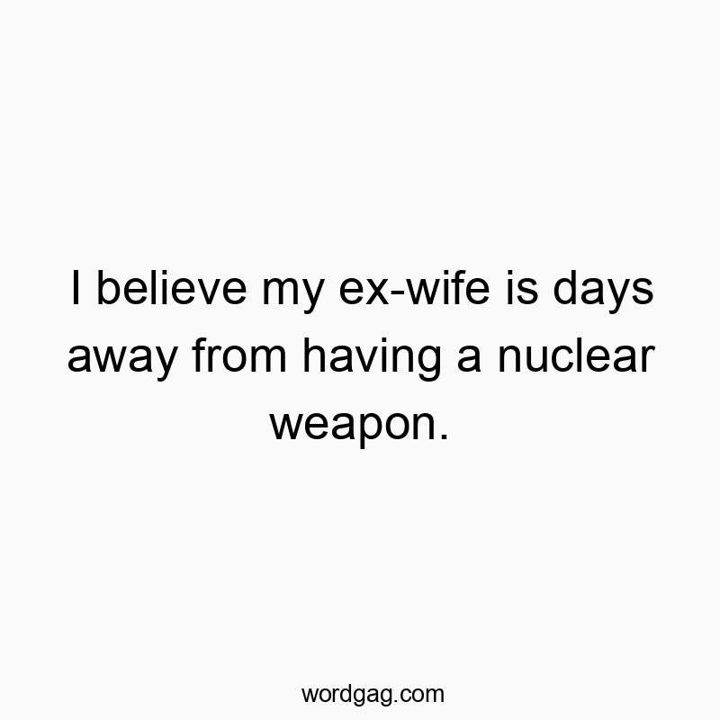 I believe my ex-wife is days away from having a nuclear weapon.