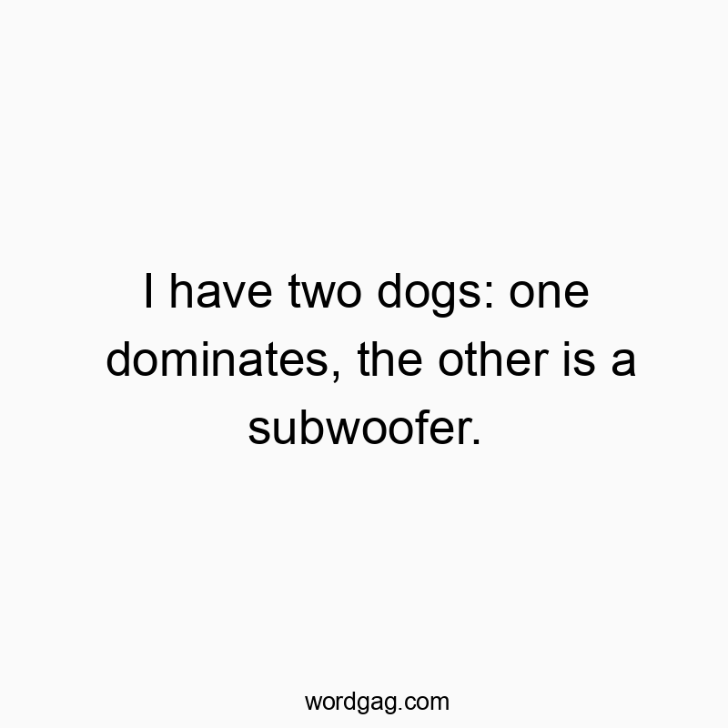 I have two dogs: one dominates, the other is a subwoofer.