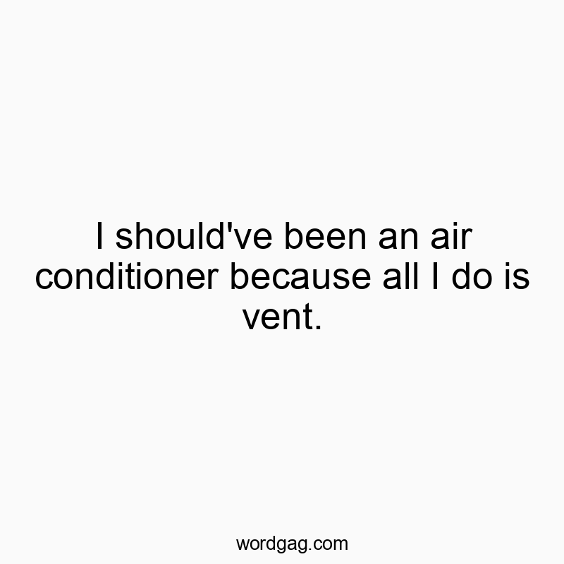 I should’ve been an air conditioner because all I do is vent.