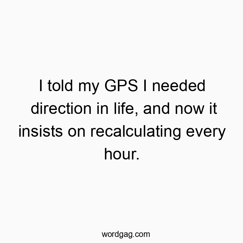 I told my GPS I needed direction in life, and now it insists on recalculating every hour.