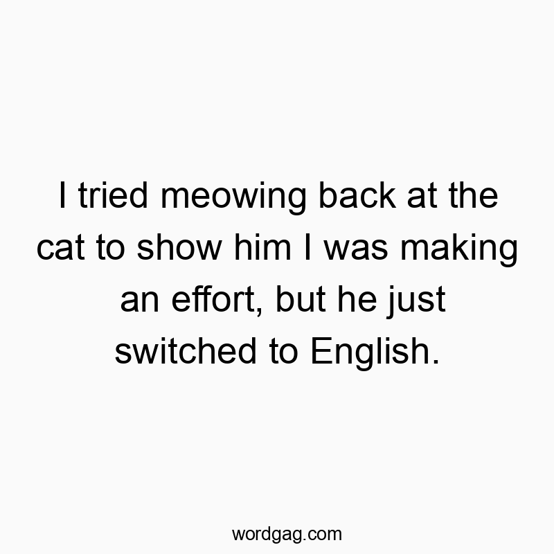 I tried meowing back at the cat to show him I was making an effort, but he just switched to English.