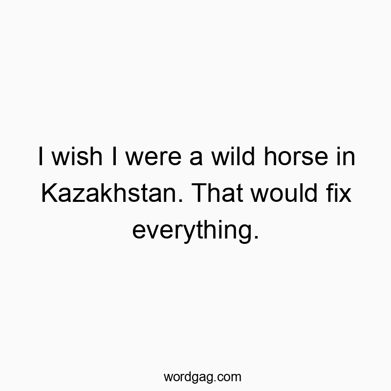 I wish I were a wild horse in Kazakhstan. That would fix everything.
