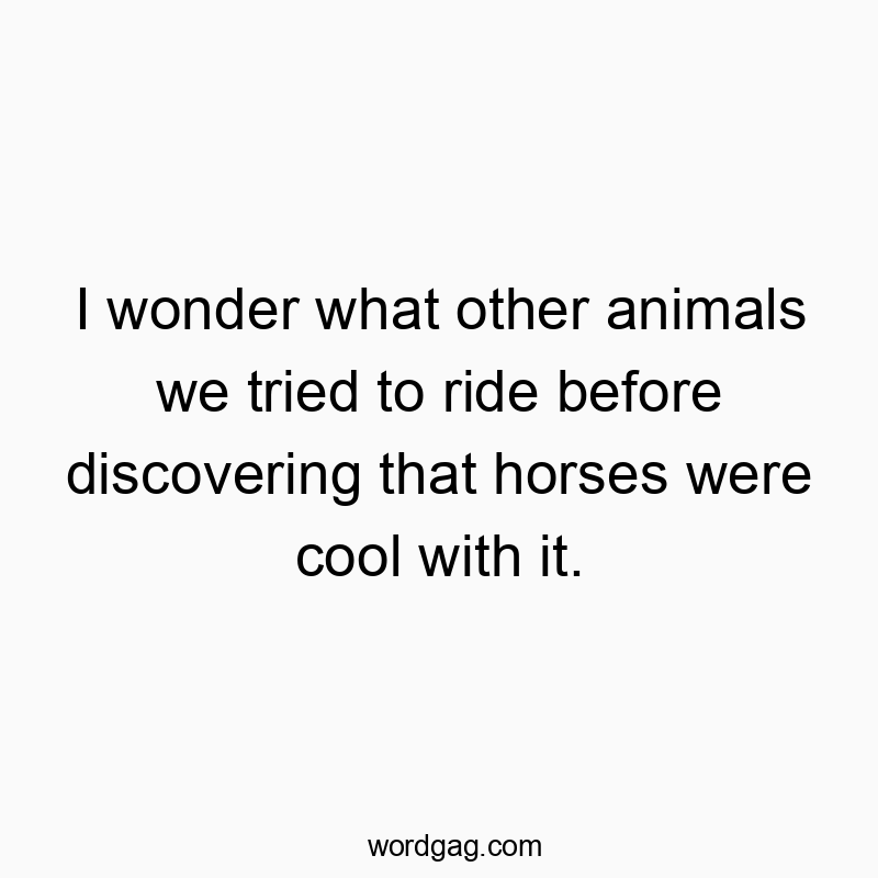 Funny fun quotes - I wonder what other animals we tried to ride before discovering that horses were cool with it.