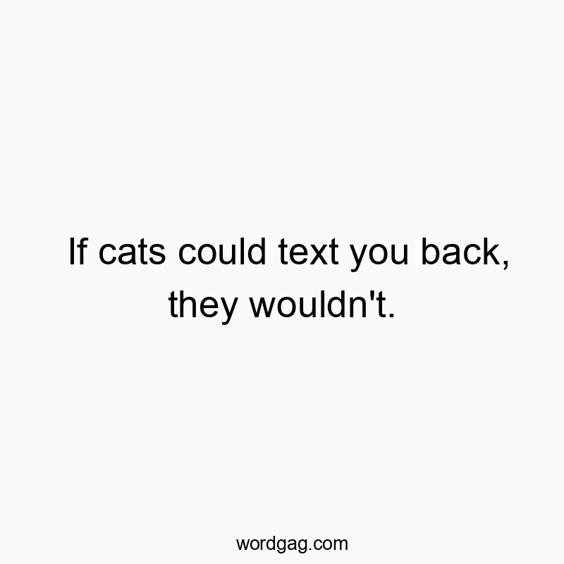If cats could text you back, they wouldn’t.