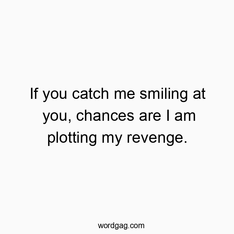 If you catch me smiling at you, chances are I am plotting my revenge.