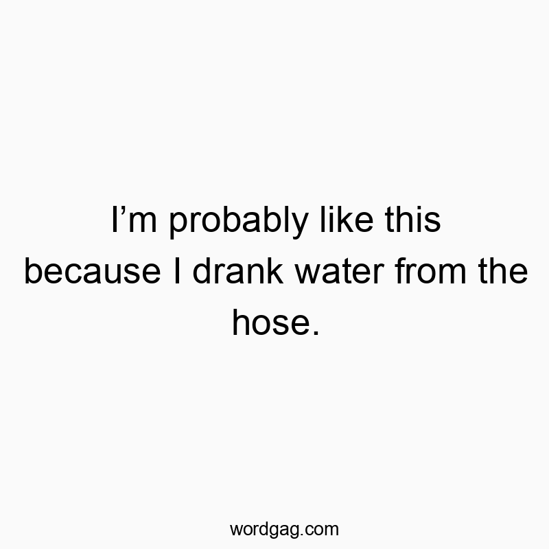 Funny hose quotes - I’m probably like this because I drank water from the hose.